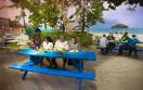 Breezes Resort Bahamas - Reggae Cafe